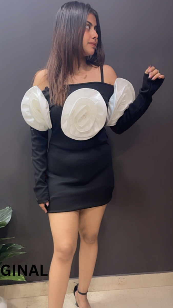 3D Roses Off Shoulder Winter Dress FC1539
