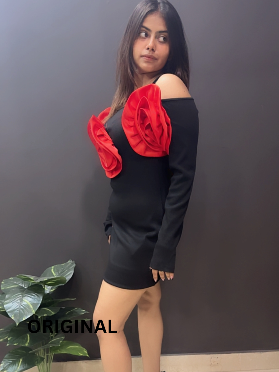 3D Roses Off Shoulder Winter Dress FC1539