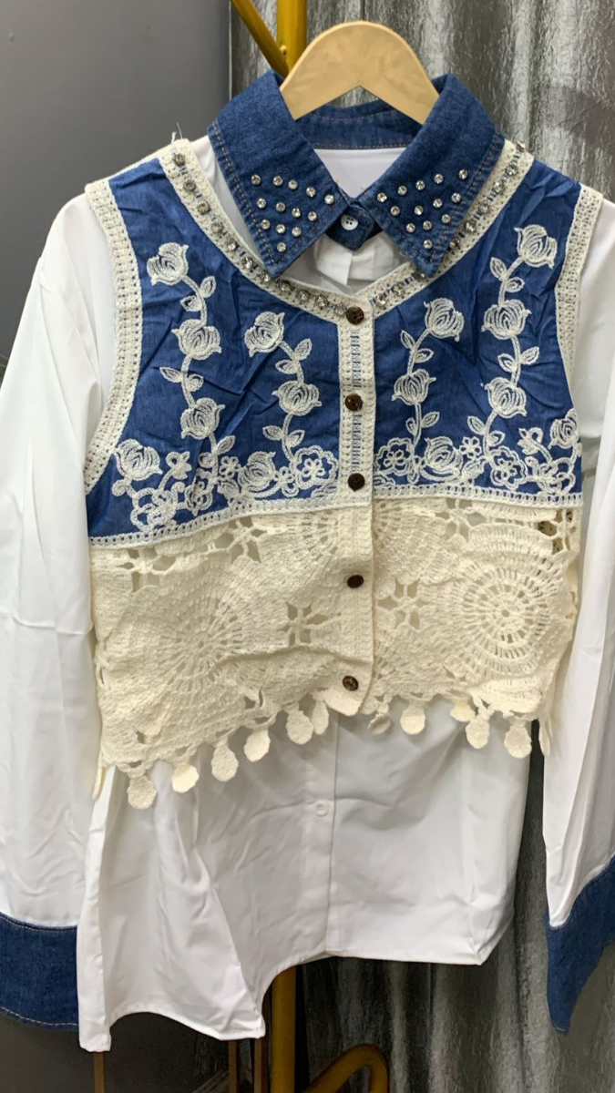 Beautiful Embroidery Designed Vest With Plain Shirt FC2251