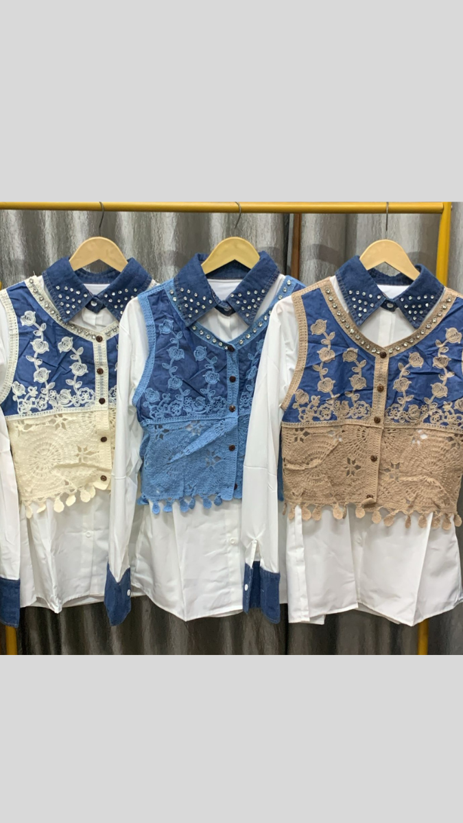 Beautiful Embroidery Designed Vest With Plain Shirt FC2251