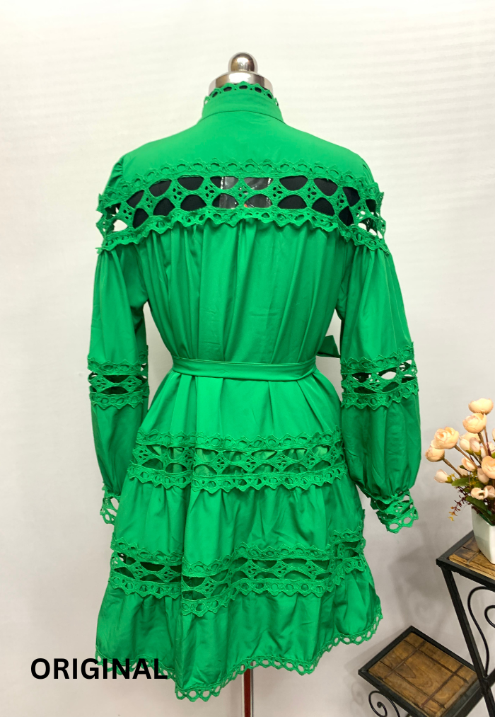 Elegant Embroidery Dress