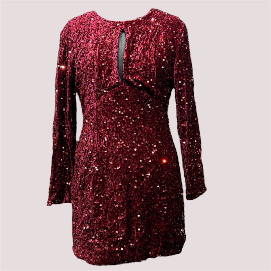 FC Sequin Embellish Bodycon Dress