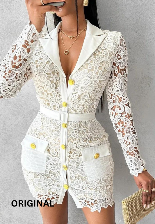 Lace Design Full Sleeve Dress