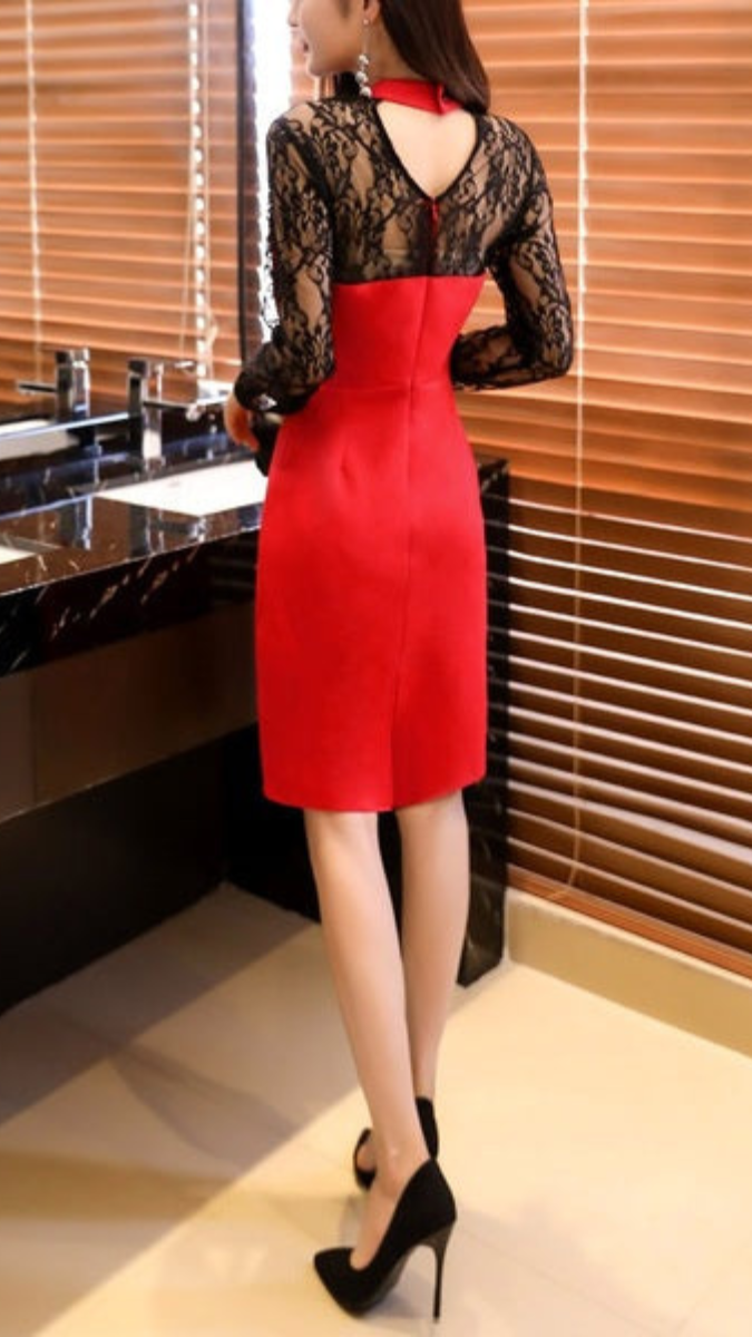 Lace Sleeve And Back Slit Pencil Dress FC1814