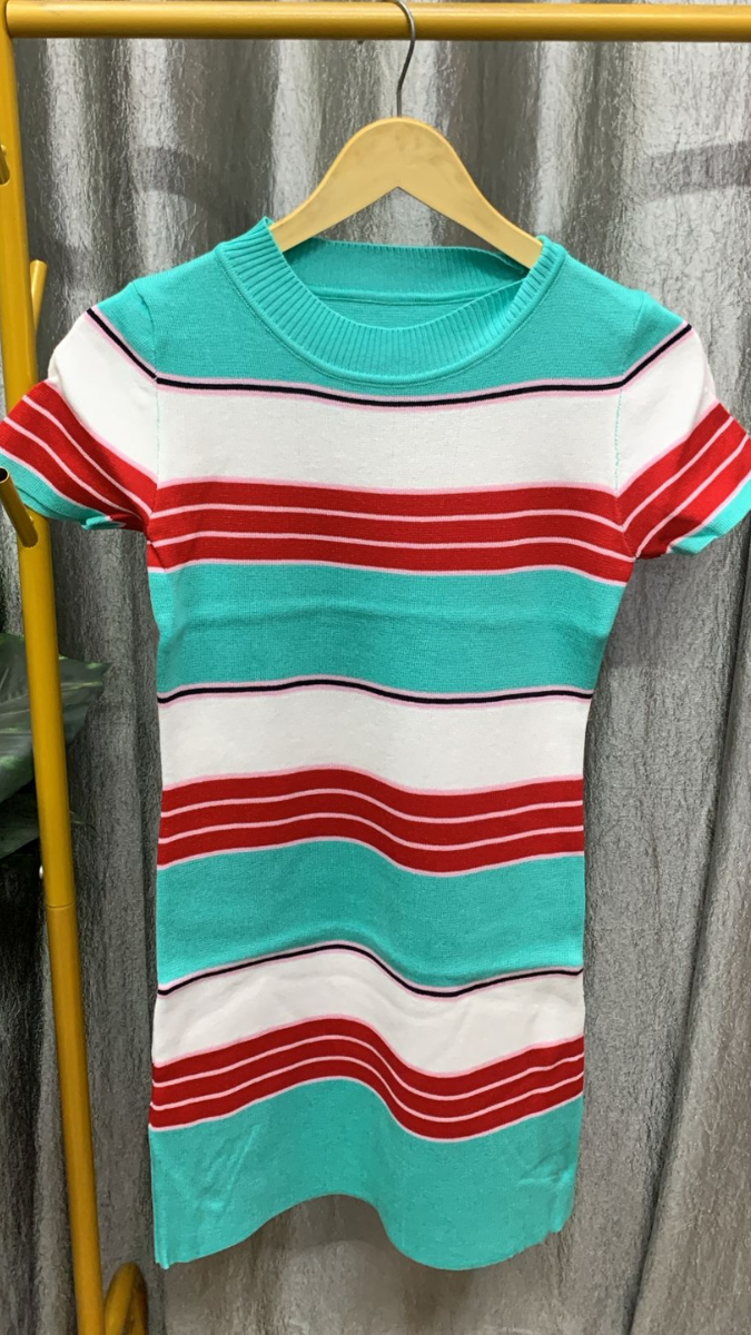 Multicolor Round Neck A-Line Mini Dress FC2340