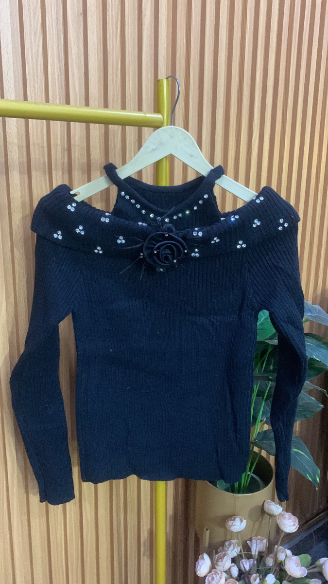 Off Shoulder With Crystal And Flower Embedded Neckline Top FC2039