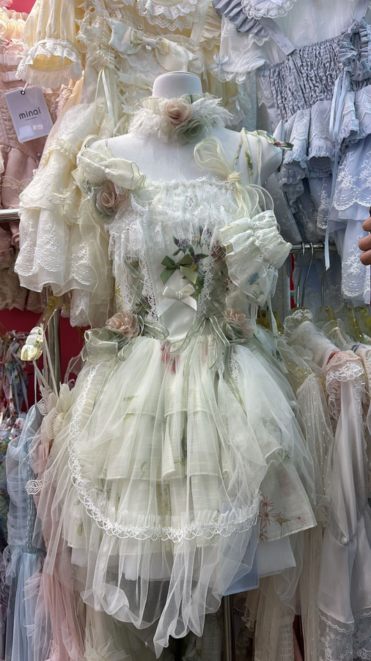 Princess Dress With Flower Designed FC2530