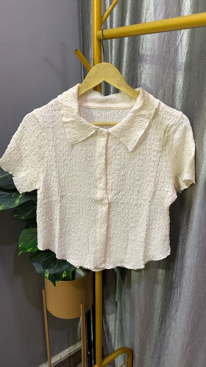 Textured Collar Half Sleeve Crop Shirt FC2198