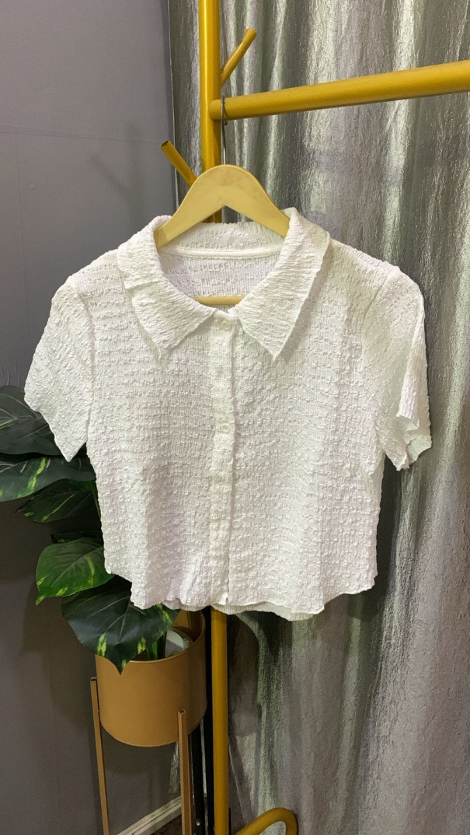 Textured Collar Half Sleeve Crop Shirt FC2198