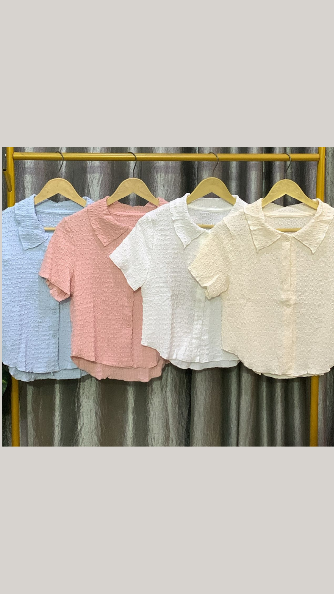 Textured Collar Half Sleeve Crop Shirt FC2198